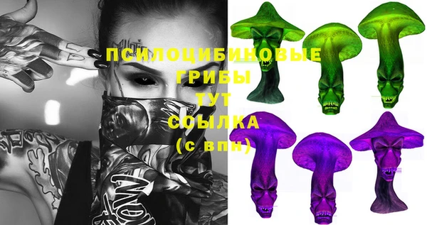 MDMA Premium VHQ Аркадак