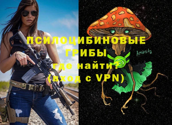 гашиш Дегтярск