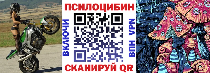 гидра ТОР  Коряжма  Галлюциногенные грибы MAGIC MUSHROOMS 